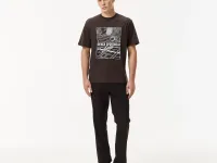 Мужские брюки Lacoste из хлопка