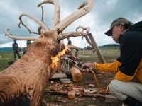 Парк «Тужи»