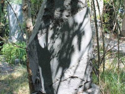 Могила И.С.Имханицкого – первого директора совхоза «Ливадия»