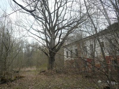 Усадьба Талызиных