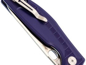 Складной нож Bestechman Angry Owl, сталь D2, рукоять G10, фиолетовый