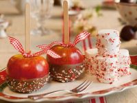 Villeroy & Boch Блюдо овальное 50 х 31 см Toy's Delight Villeroy & Boch