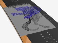 Сноуборд SALOMON ASSASSIN 21/22