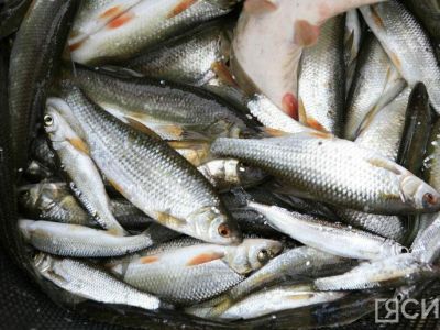 В Якутске обсудили вопросы любительского рыболовства