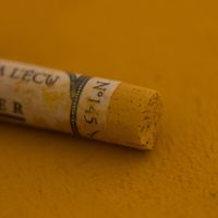 Пастель сухая Sennelier "A' L'ECU" увядшая листва (145)