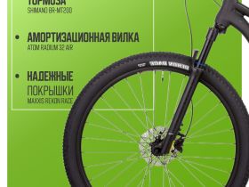 Горный велосипед Atom Bion Nine 350, год 2024, цвет Черный, ростовка 22