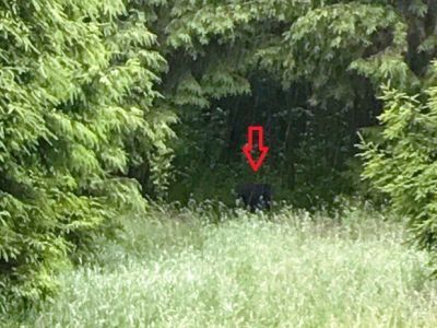 Памятный знак-стела на месте сожженной фашистами деревни Красный Хутор