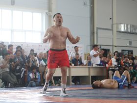 Верхневилюйский улус вновь победил на Играх Манчаары по хапсагаю