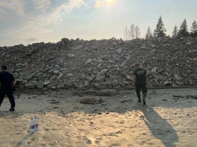 В Якутии проводят проверку по факту гибели домашних оленей в старательских отработках