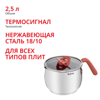 Мультикастрюля с крышкой Opti'Space 16 см G7211874