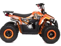 Квадроцикл SHARMAX Cross 150 (2024)