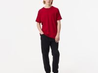 Мужская футболка Lacoste из хлопка