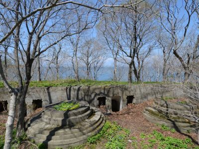 Батарея Ларионовская южная