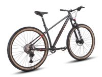 Горный велосипед Hagen 3.10 29, год 2025, цвет Красный, ростовка 20