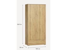 Распашной шкаф Стелла 2.1-100x240 Дуб Золотистый