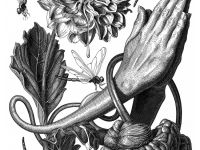 Линер Sakura "PIGMA MICRON 003" 0,15 мм, черная