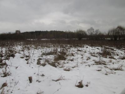 Памятное место, где в 1942 г. гитлеровцы расстреляли 194 мирных жителей за помощь партизанам