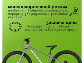 Подростковый велосипед Haro Flightline 24 Plus DS, год 2025, цвет Серый