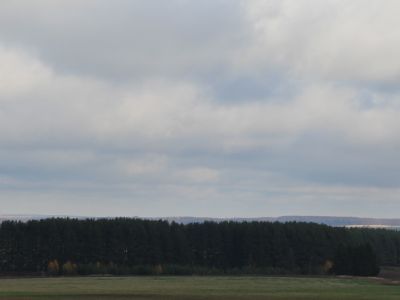 Священная роща