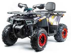 Квадроцикл MOTOLAND 200 Wild Track X Pro (2022)