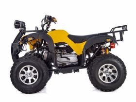 Квадроцикл RAPTOR Max Pro 250 (жёлтый/чёрный) (2024)