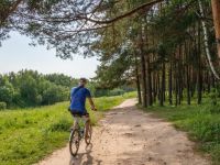 Парк «Городской лес»