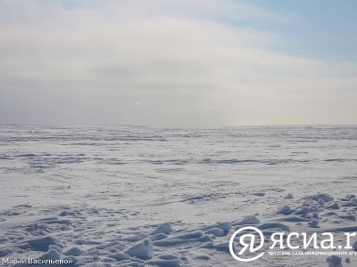 Школьники Арктики представили проекты по спасению языков и культуры народов Севера