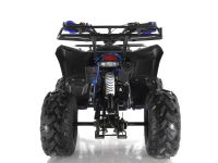 Квадроцикл WELS Thunder EVO