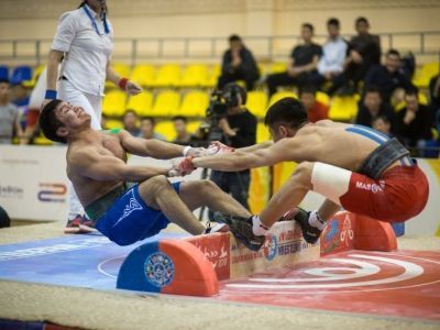 Чемпионат Якутии по мас-рестлингу-2020 может пройти в Ленском районе