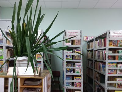 Троицкая поселенческая библиотека