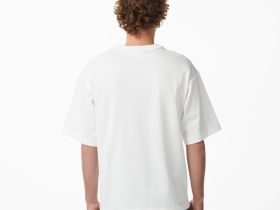 Мужская хлопковая футболка Lacoste