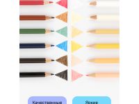 Набор карандашей цветных Гамма "Хобби. Портрет" 12 цв.,заточен., ПВХ, европодвес