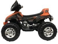 Детский квадроцикл Polaris CHILDRENS ATV PKC 0101