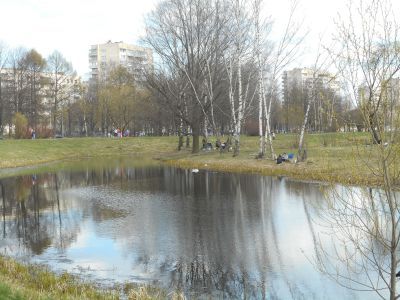 Пруд с протокой