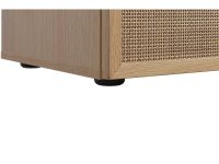 Распашной шкаф Флавир 4-160x250 Ротанг