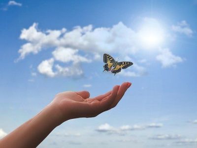 Как справиться с тревогой. Рекомендации психолога