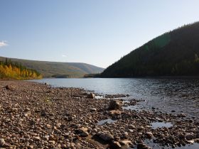 Рыбалка на трофейного тайменя на реке Гонам