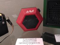 Музей города Арамиль