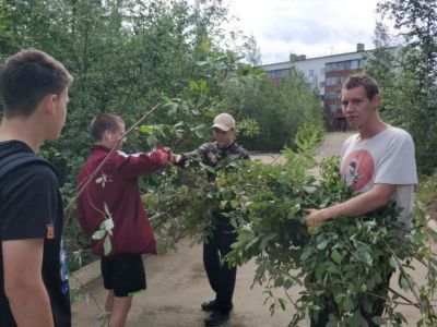 Более ста молодых людей участвовали в работе студенческих отрядов