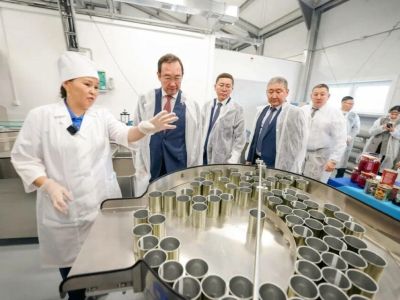 ТЛЦ Якутии возобновляют прием дикоросов от жителей и предприятий