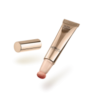 Сияющий хайлайтер "Блеск мечты"/Glow Fusion Gleam Dream Highlighter