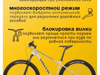 Горный велосипед Atom Bion Nine 20, год 2024, цвет Коричневый, ростовка 17