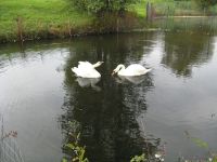 Парк регионального значения «Ключи»