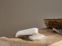 Набор губок Чиа/Chia для посуды