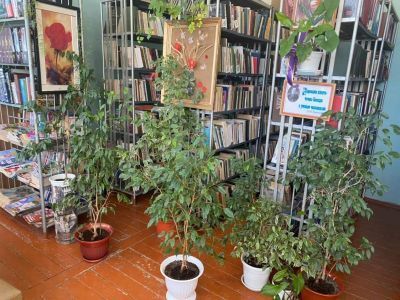 Полтавская библиотека, филиал № 3