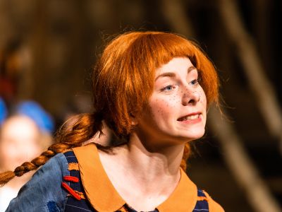 Билеты на Пеппи Длинныйчулок (Драматический театр п/р Сергея Афанасьева) / Театр | Афиша | ИнфоТаймс