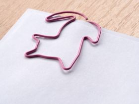 Скрепки фигурные Globus - кошка 45 мм 12 шт. пластик. коробка, европодвес, розовые