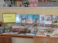 Библиотека п. Жирекен