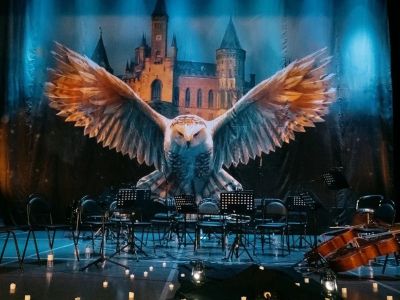 Билеты на Harry Potter. Magic Music (Дом музыки) / Концерт | Афиша | ИнфоТаймс