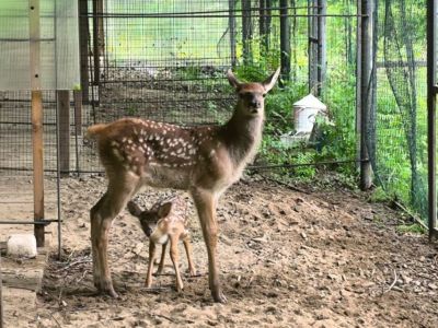 Экологи АЛРОСА принимают заявки на грантовый конкурс «Зеленый проект 2.0»